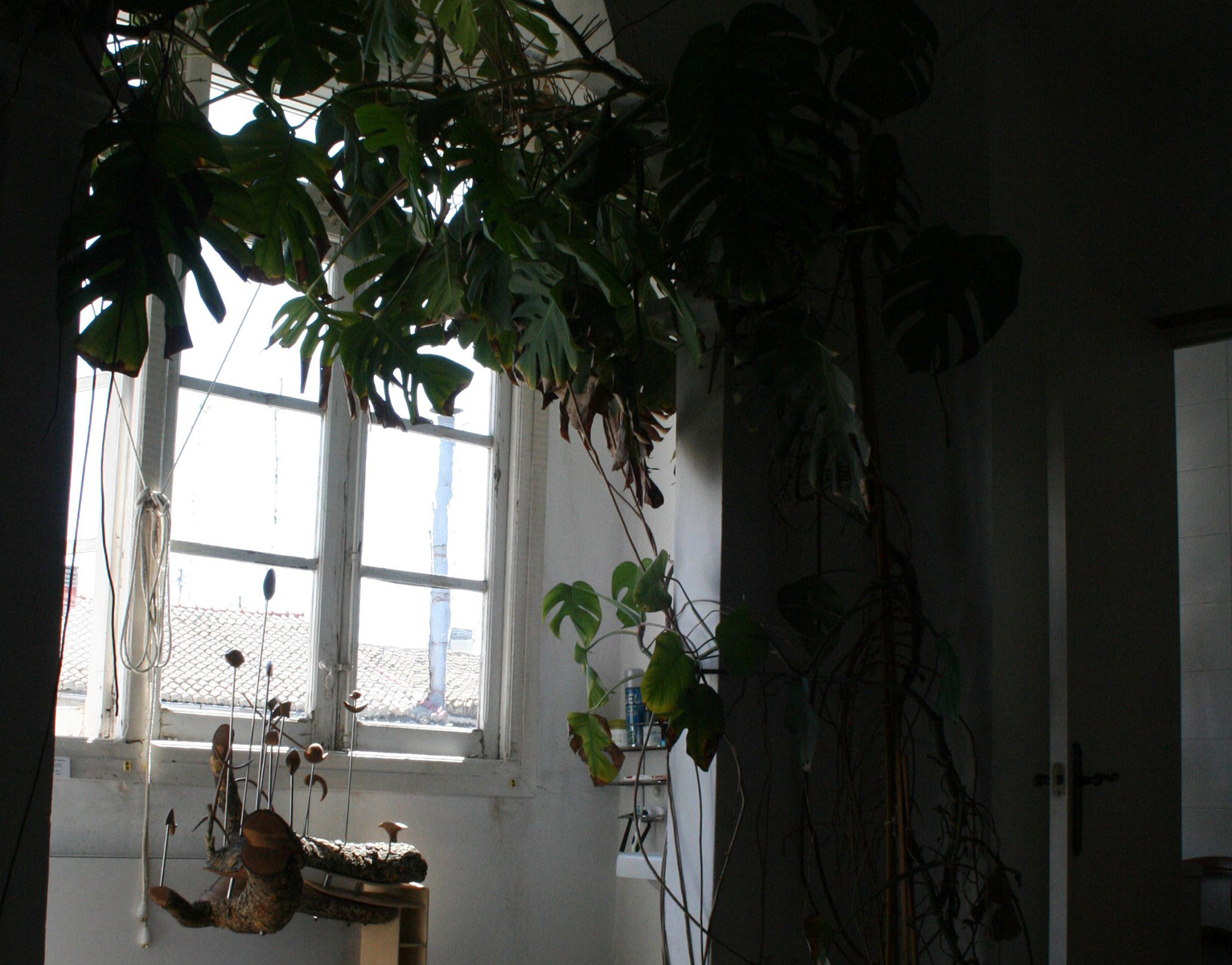 Espacio expositivo RUSSAFART 2012, Taller calle Cádiz 27, Valencia.