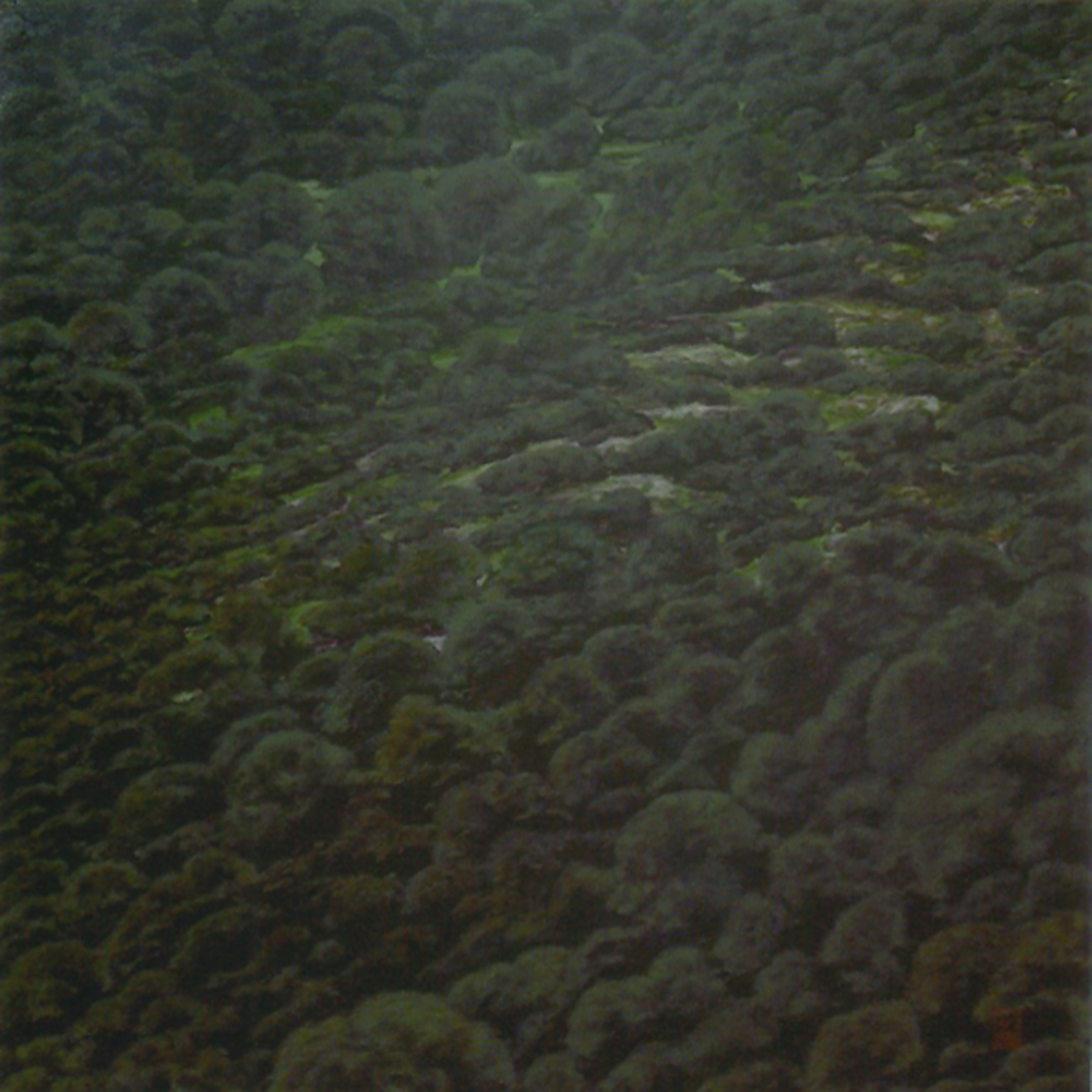 Segundo Premio en el IX Premi Nacional de Pintura Ciutat D’Algemesí (Valencia).