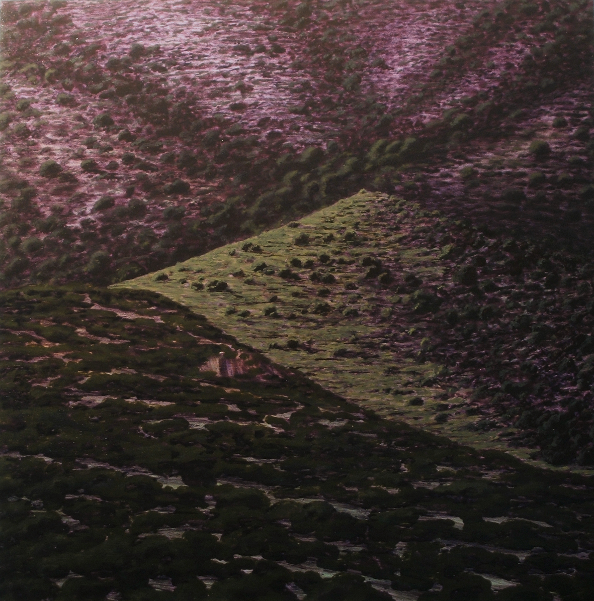 “Pinturas de El Silencio” Galería Martínez Glera, Logroño.