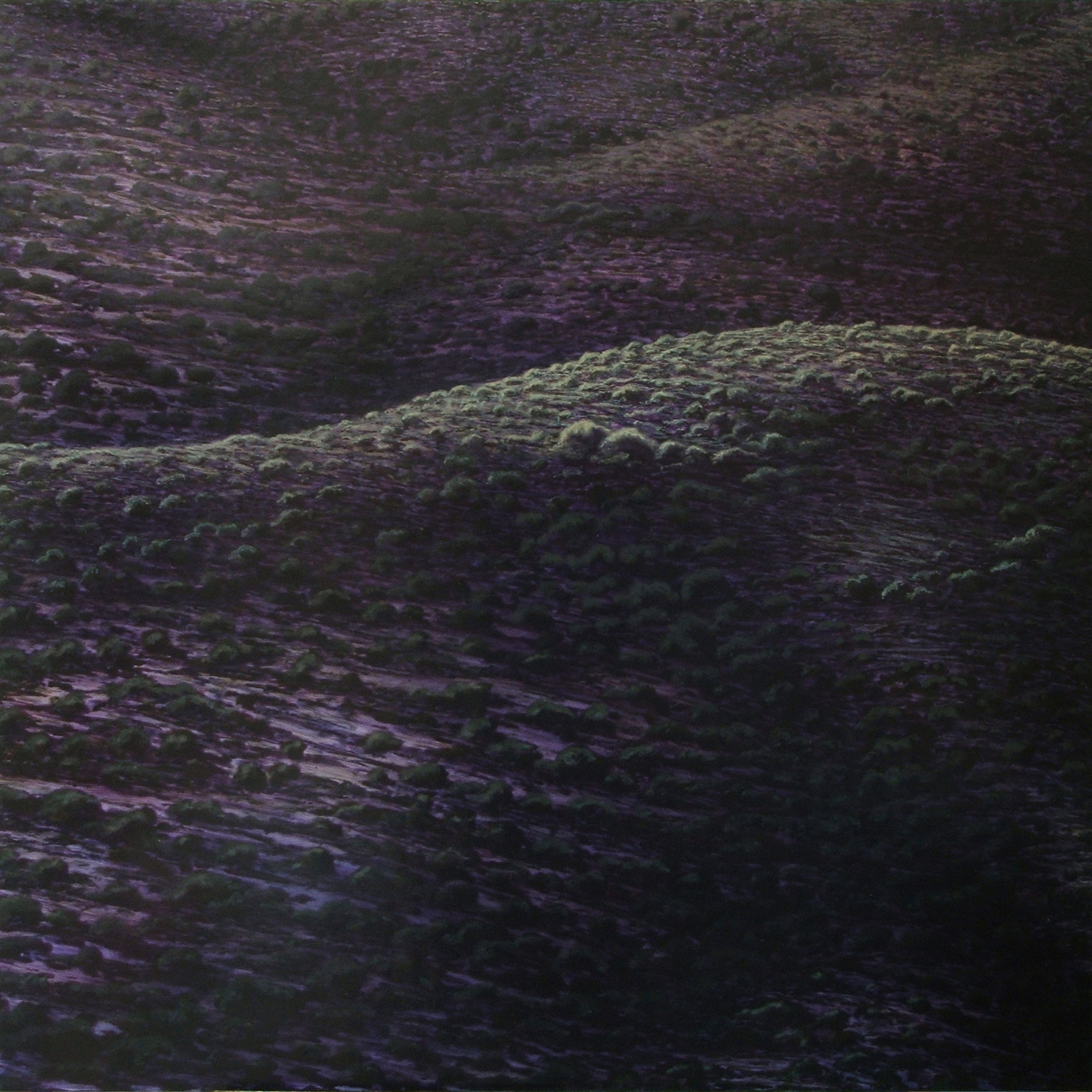 “Oscuridad primordial” Galería KartON, Huercal Overa (Almería).