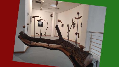 Exposición en el Museo de Arte de Almería Espacio 2